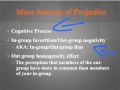Intergroup Relations and Prejudice Concepts