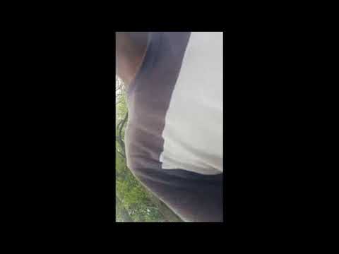 Nadi me pani kam hai