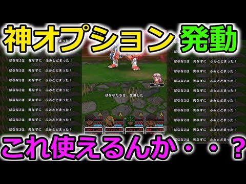 【ドラクエウォーク】神オプション発動させてみた結果・・！これ使えるんか！？