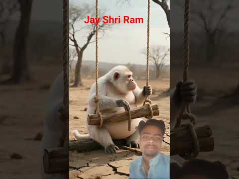 #facts #funny #comedy #monkey #animals #animals #monkey #animalstories #monkey