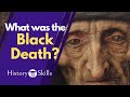 Exploring the Impact of the Black Death on Medieval Society