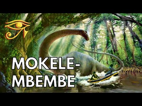 Mokele-Mbembe | The Living Dinosaur