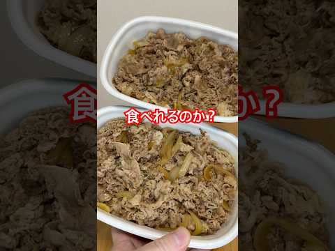 ハシダ、キング牛丼に挑戦