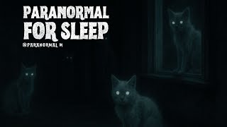 True Paranormal Stories | Cat ghosts And More