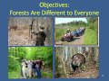 Forest Management Plans and Assistance