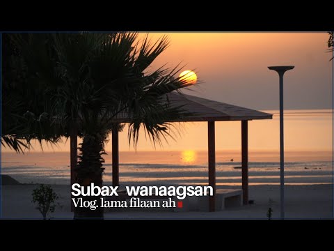 Subax wanaagsan : Dhafarka iyo xoogaa wada sheekaysi ah .