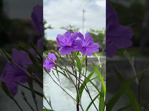 Góc 34 chúc mọi người ngày mới an lành