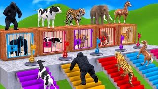 Animals Choose The Right Key With Cow Mammoth Elephant Gorilla Lion Tiger Wild Animals Matching Game