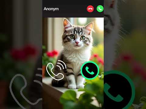 Cute Cat Calling 😮#ringtone #cat #gato #babygirl #youtubeshorts #catlovers #viralvideo #mi #shorts