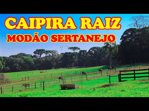 SERTANEJO RAIZ - A Viagem do CAIPIRA + de uma hora de Modão