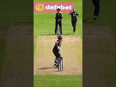 Tom Taylor with an absolute stunner!  #cricket #wicket