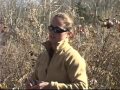 Galls and Stream Ecosystem Assessment
