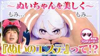 『ぬいのエステ』でぬいぐるみのお顔をもっと可愛くしよう★たきゅーとちゃんに聞いてみた！【推しぬい】