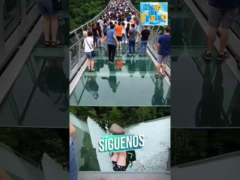 jajajaja