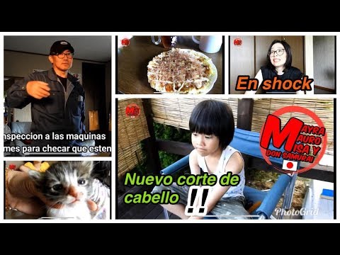 En shock+Mauro se regreso solo + okonomiyaki+videoblogjapon