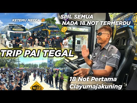 BERGOYANG SEPANJANG JALAN‼️ TRIP PAI TEGAL SERU BUS AKA WISATA BLACK MARLIN 😍 18 NOT BASURI