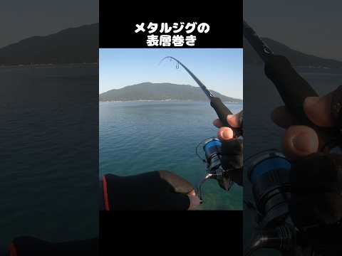 thumbnail_zdDZJL5rvCY