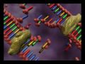 Exploring DNA Replication Processes