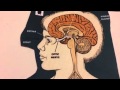 Melatonin and Its Effects on Sleep