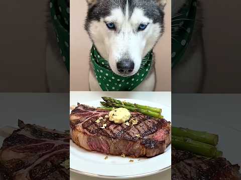 This dog eats better than I do