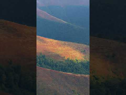 Боржава - осінь в Карпатах #карпати #закарпаття #боржава