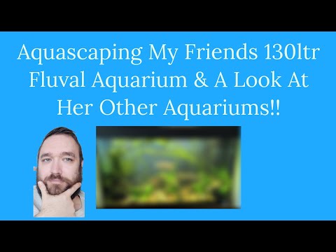 I was asked to aquascape one of my friends aquariu Hi everyone and welcome back to the channel!

In today's video I will sharing with you all one of my