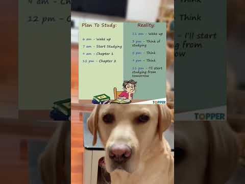 #memes #story #dog #shorts #pets