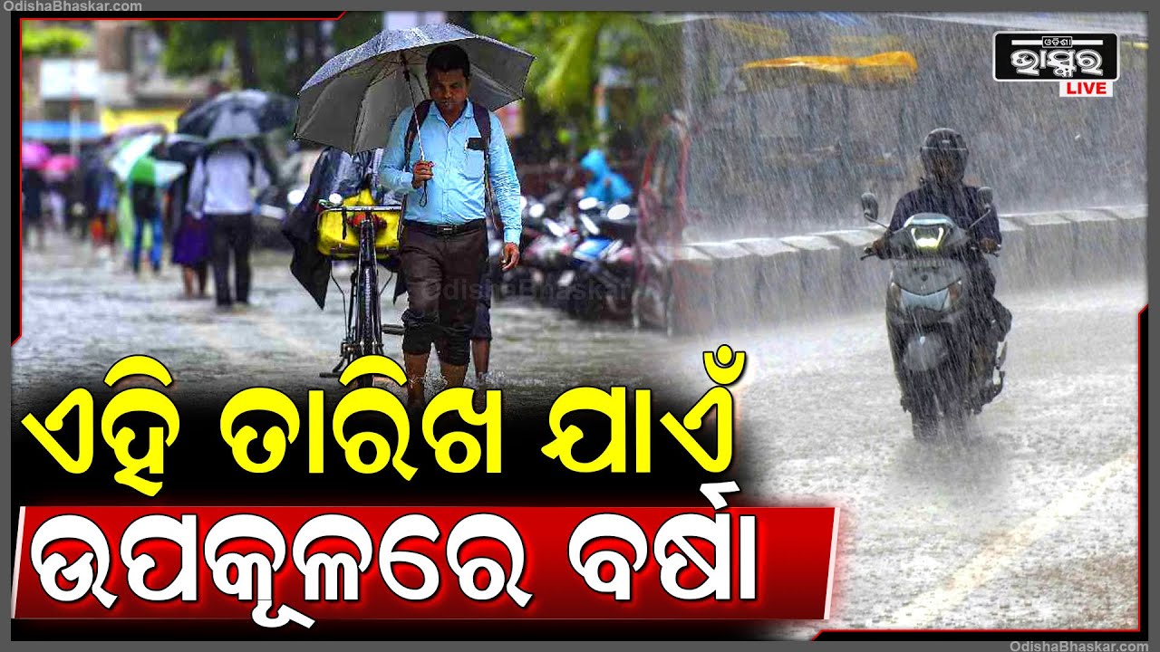 ବର୍ଷା ନେଇ ପୁଣି ଏକ ବଡ଼ ସୂଚନା ଦେଲା IMD I ଏହି ତାରିଖ ଯାଏଁ ଉପକୂଳରୁ ଛାଡିବନି ବର୍ଷା Rain Alert in Odisha
