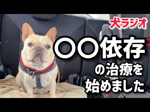 【犬ラジオ25】重田さんが依存症になってしまった話など