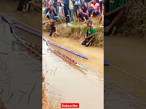 KOCAK | SEMUA PENONTON TERPUKAU | PACU JALUR MENYAPA DUNIA #pacujalur #shorts #aurafarming