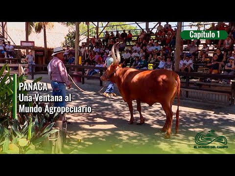 PANACA Una Ventana Al Mundo Agropecuario 1