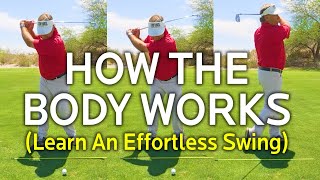 How The Body Works In The Golf Swing