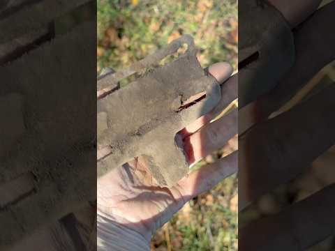 Google Lens Is A Hoot🤣#countrydiggers #metaldetecting #googlelens