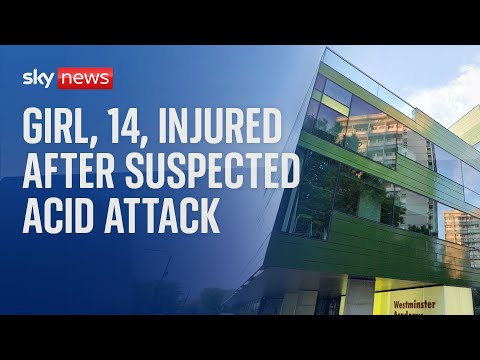 Suspected acid attack at west London school leaves girl, 14, among three injured