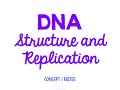 Exploring DNA Structure and Replication