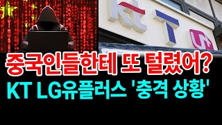 "우린 안전해요" 외치고 폰 팔더니... KT·LG유플러스 '충격 상황' [새벽N온라인반응]