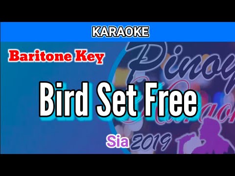 Bird Set Free by Sia (Karaoke : Baritone Key)