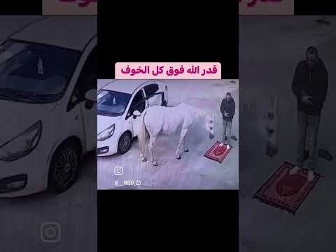 #قرآن #ياسر_الدوسري