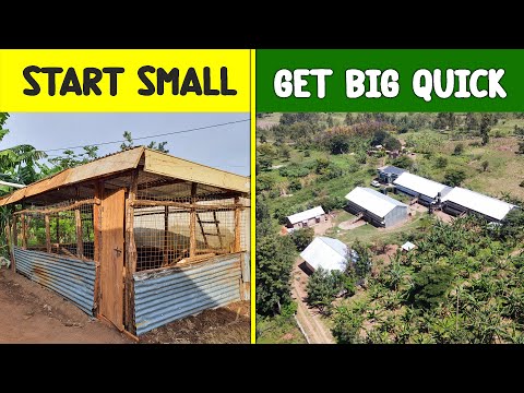 How to Start Poultry Farm with LITTLE MONEY and GROW QUICKLY