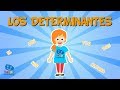 Understanding Determinants in Spanish