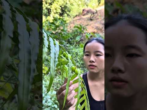 Survival skills you may not know from this fruit #bushcraft #camping #lifehacks #shorts