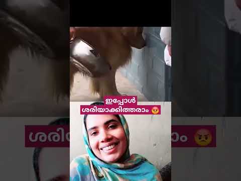 എന്റെ പാത്രം പൊട്ടിച്ചില്ലേ 😒. വേറെ വേണ്ട 😡
