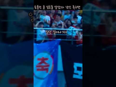 손흥민이 넣은 줄 알고 낚여버린 축구팬