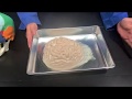 Understanding Concussions and Brain Protection