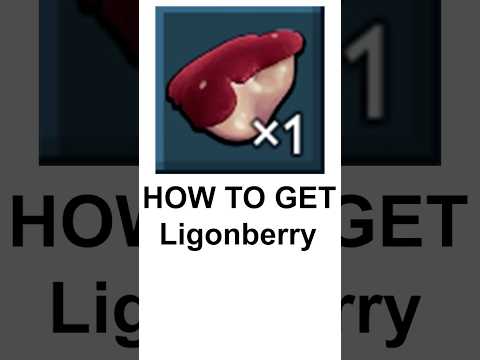 How to get LingonBerries in Grounded 2!