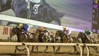 7/19 高知ファイナルで全てを取り戻す【競馬】