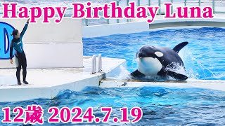 ルーナ12歳お誕生日おめでとう!! 鴨川シーワールド シャチ kamogawaseaworld orca killerwhale
