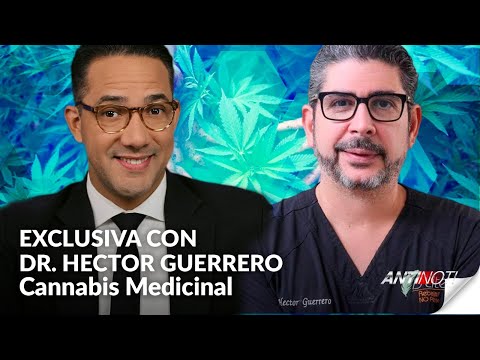 Usos Del Cannabis Medicinal | Antinoti EN VIVO Con El Dr. Héctor Guerrero