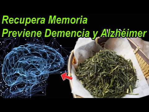 Los 8 Mejores Alimentos para recuperar la Memoria y prevenir Demencia y Alzhéimer