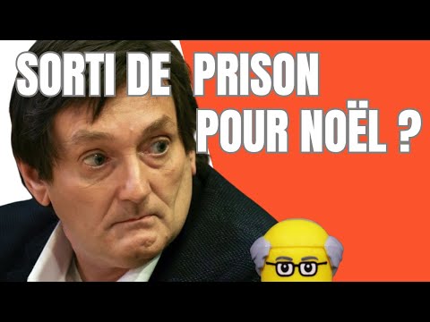 Pierre Palmade sera sorti de prison à Noël (non)